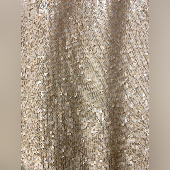 Light pink JCrew sequins tank top. Buy one get one free. See description - Picture 2 of 4